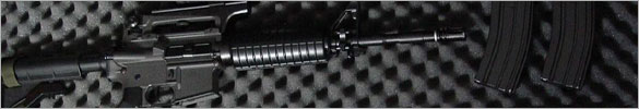 Gun Cases & Safes