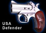 Texas Defender