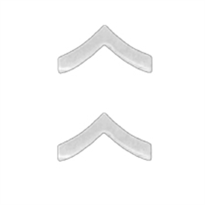 1" PRIVATE CHEVRON SILVER
