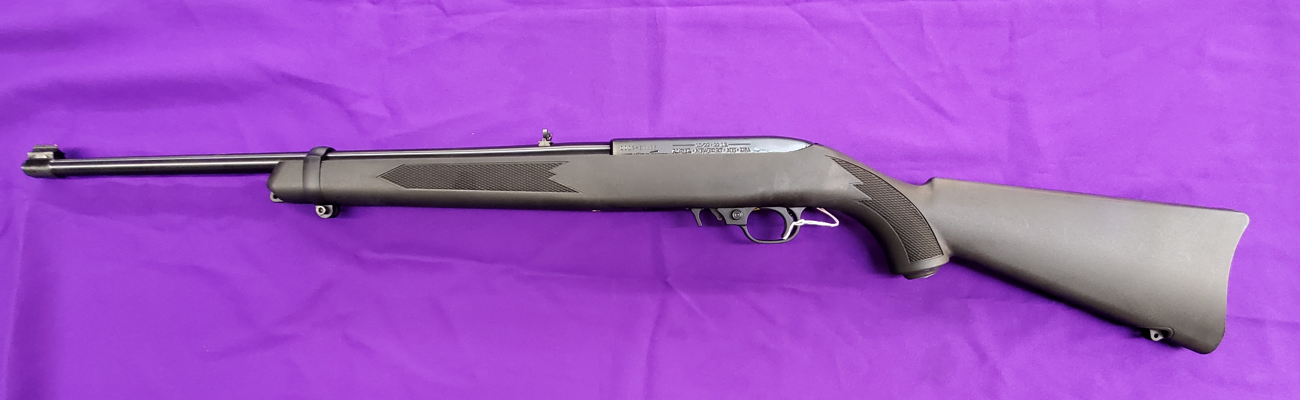 Ruger 10/22
