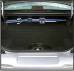 Trunk Mount